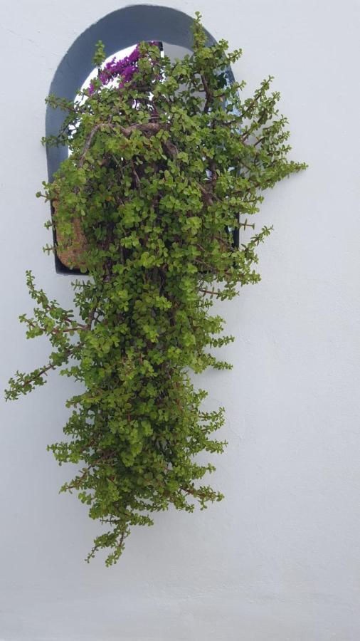 Studios Nina Amoopi Exterior photo